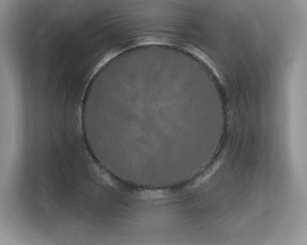 X0000112801121200908211128