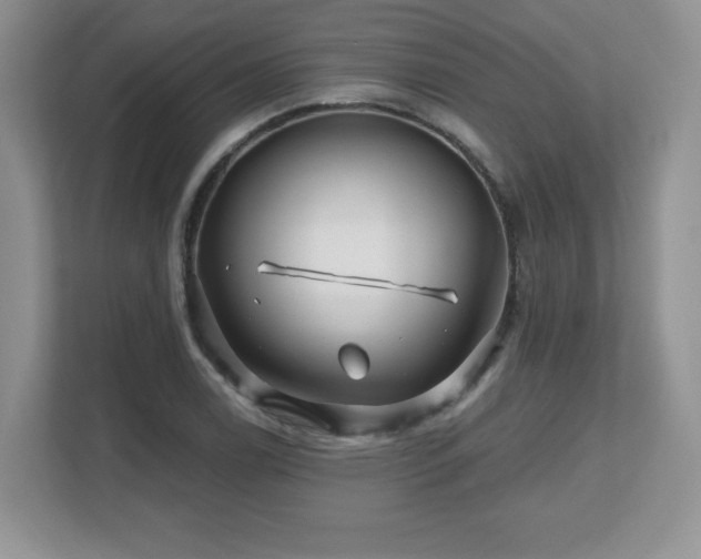 X0000112801122200908211128