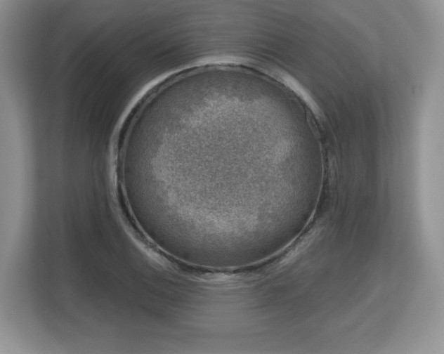 X0000112801124200908211128