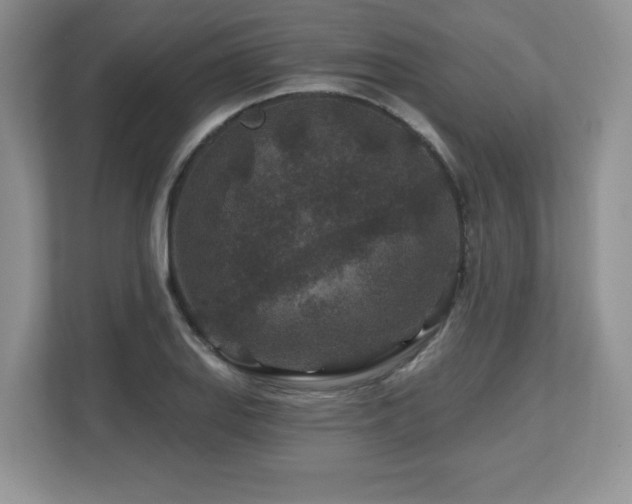 X0000112801127200908211128