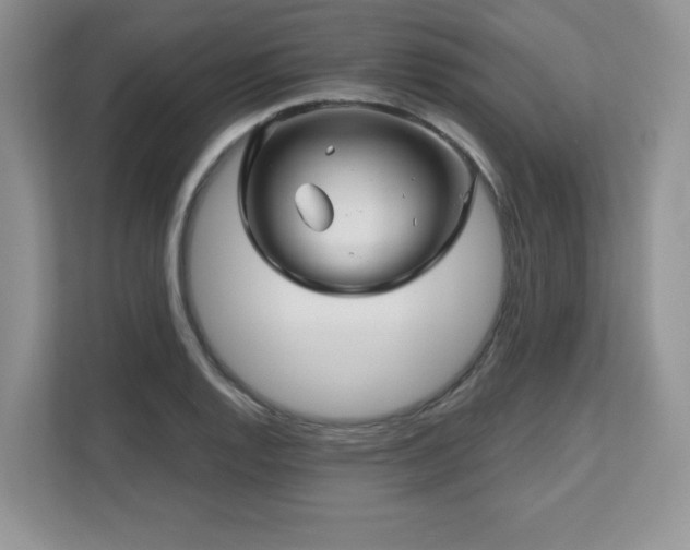 X0000112801128200908211128