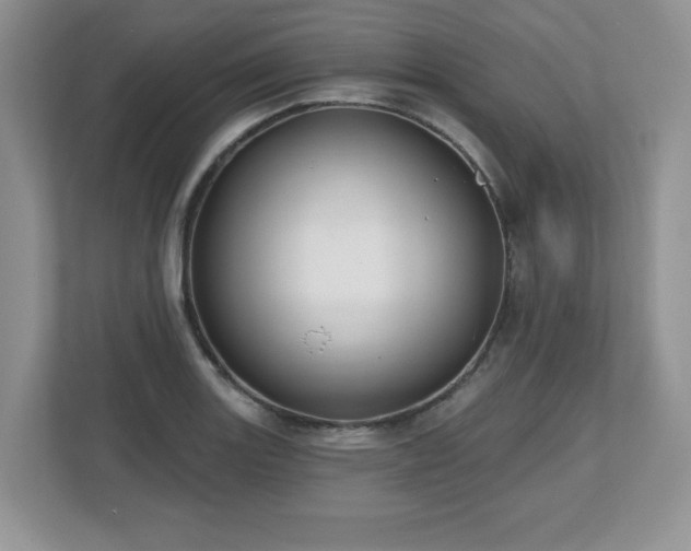 X0000112801131200908211128