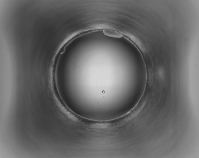 X0000112801134200908211128