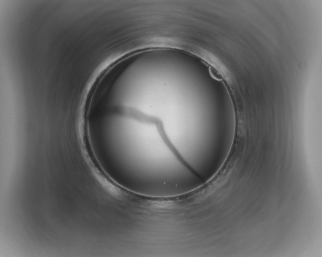 X0000112801136200908211128