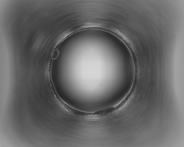 X0000112801137200908211128