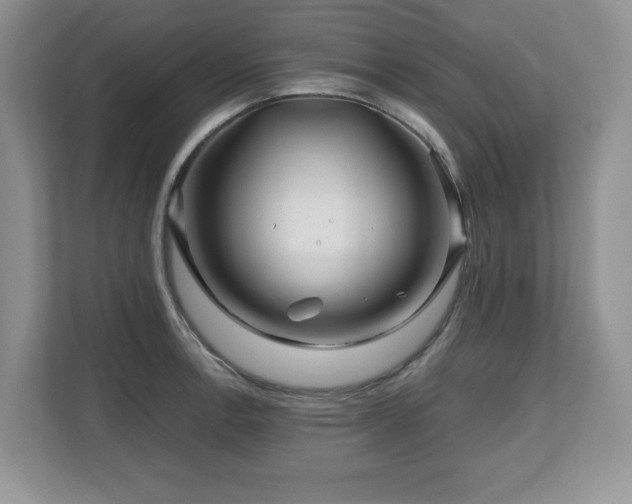 X0000112801138200908211128