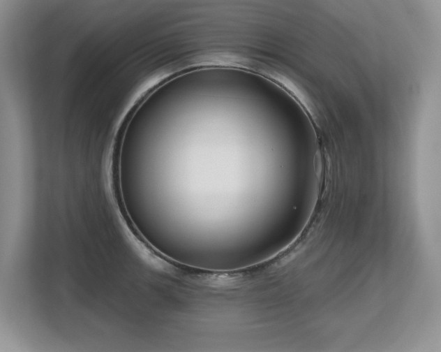 X0000112801139200908211128
