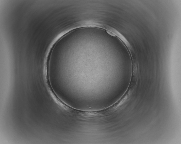 X0000112801144200908211128