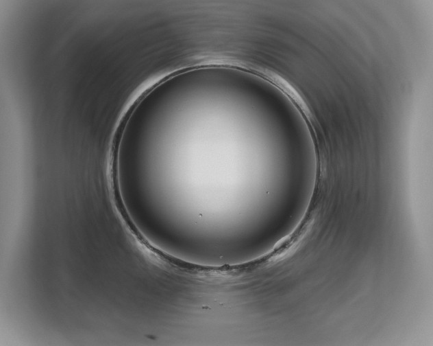 X0000112801149200908211128