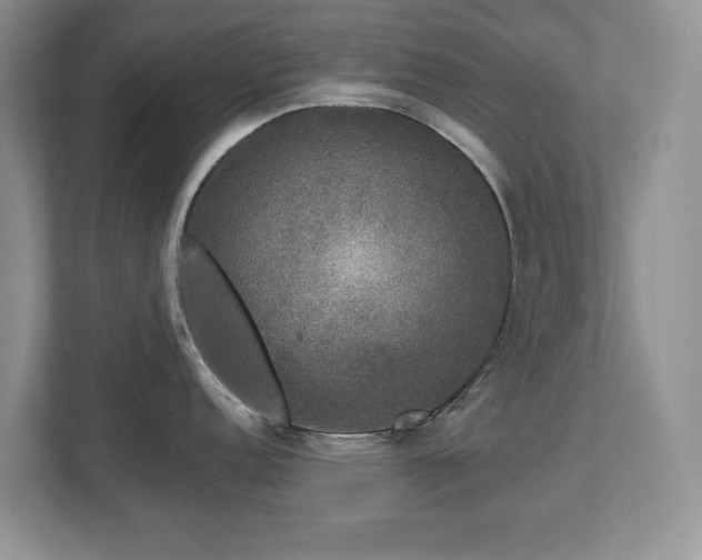 X0000112801152200908211128