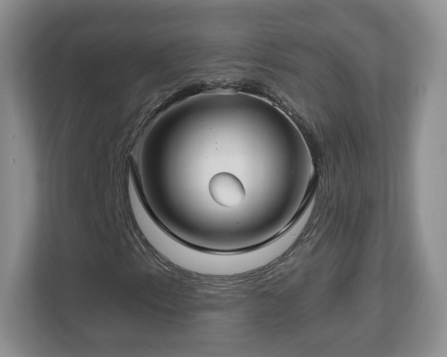 X0000112801153200908211128