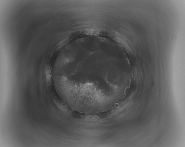 X0000112801154200908211128