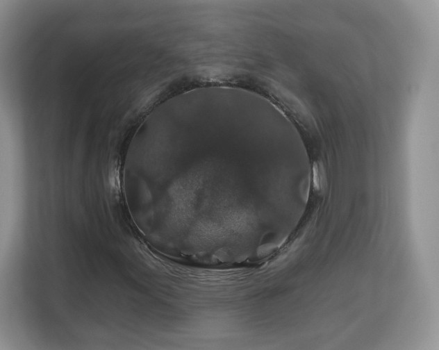 X0000112801155200908211128