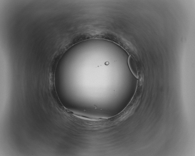 X0000112801156200908211128