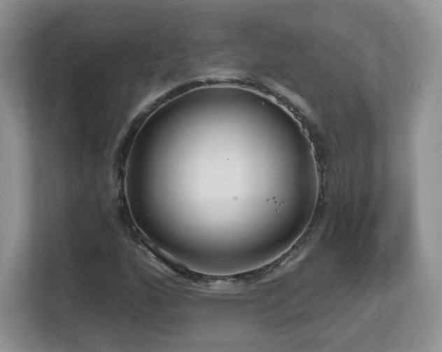 X0000112801160200908211128