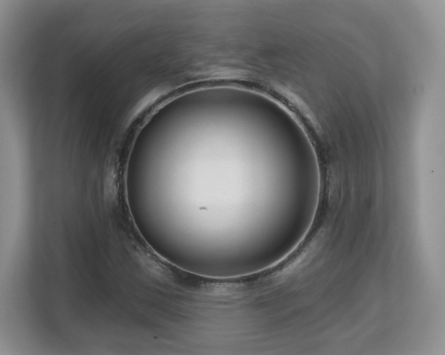 X0000112801163200908211127