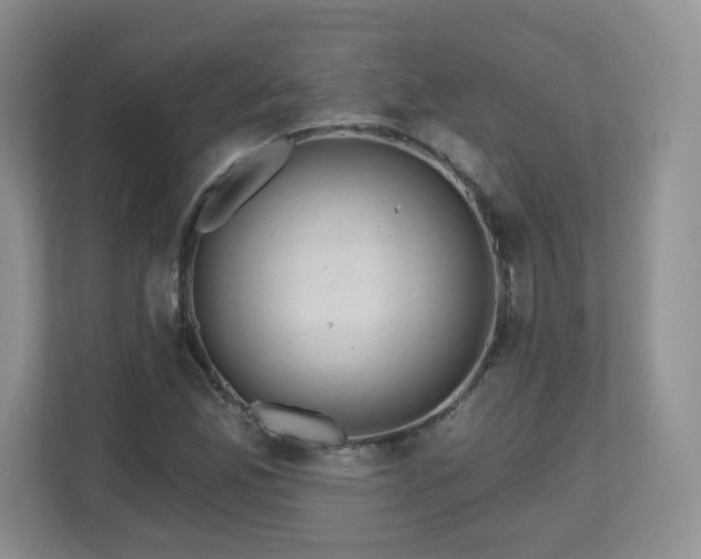 X0000112801165200908211127