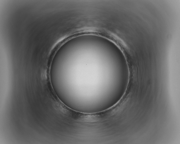 X0000112801166200908211127