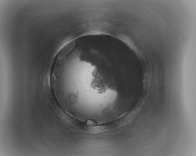 X0000112801173200908211127
