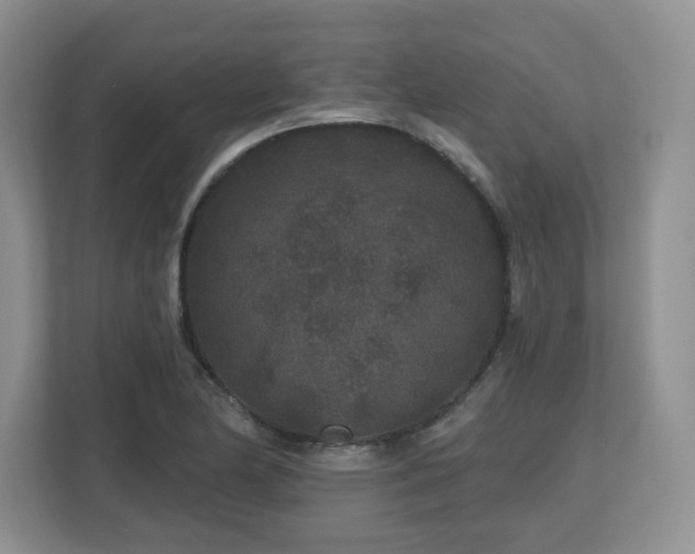 X0000112801174200908211127