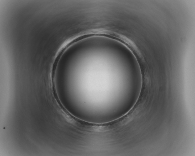 X0000112801176200908211127