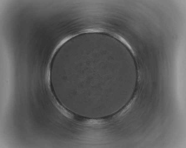 X0000112801179200908211127