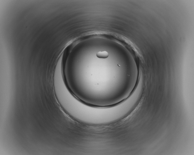 X0000112801185200908211127