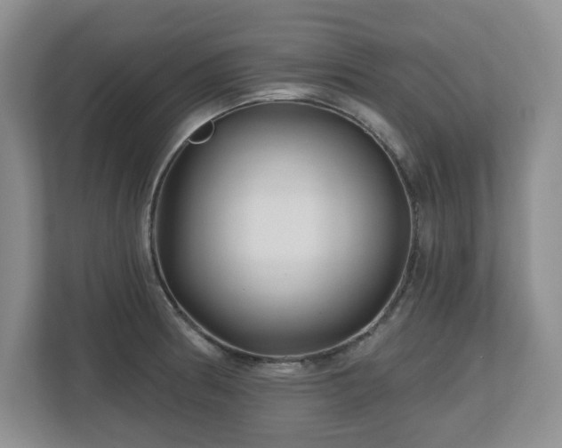 X0000112801186200908211127
