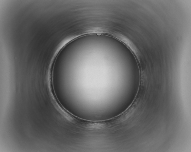X0000112801187200908211127