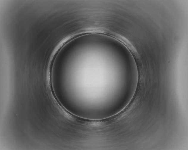 X0000112801188200908211127