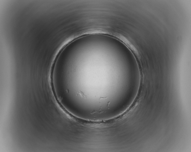 X0000112801189200908211127