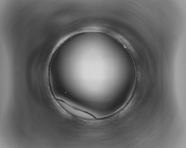 X0000112801192200908211127