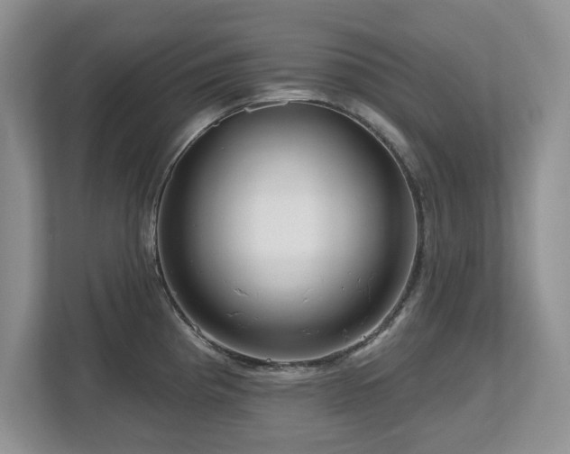 X0000112801193200908211127