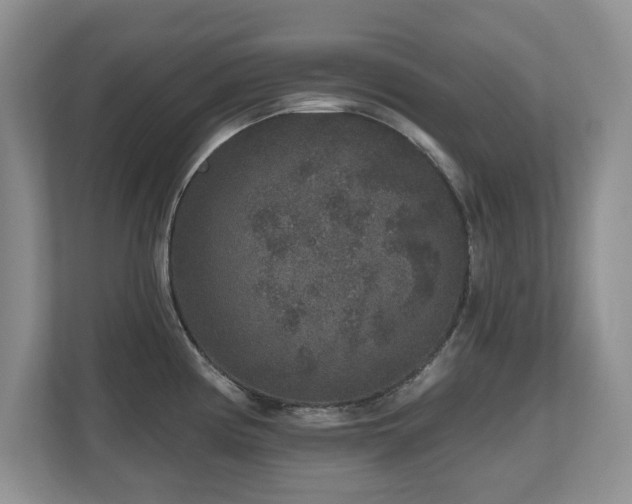 X0000112801194200908211127