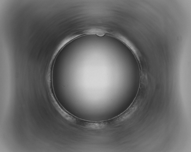 X0000112801195200908211127