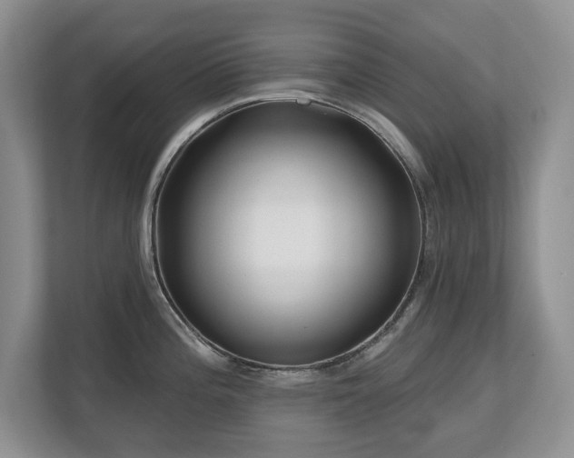 X0000112801196200908211127