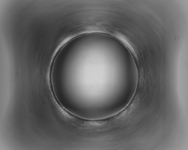 X0000112801197200908211127