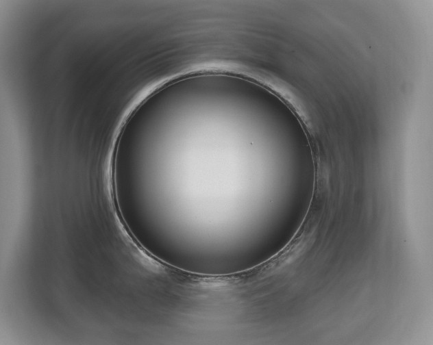 X0000112801199200908211127