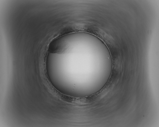 X0000112801201200908211126