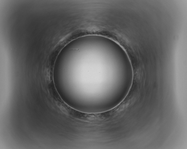 X0000112801205200908211126