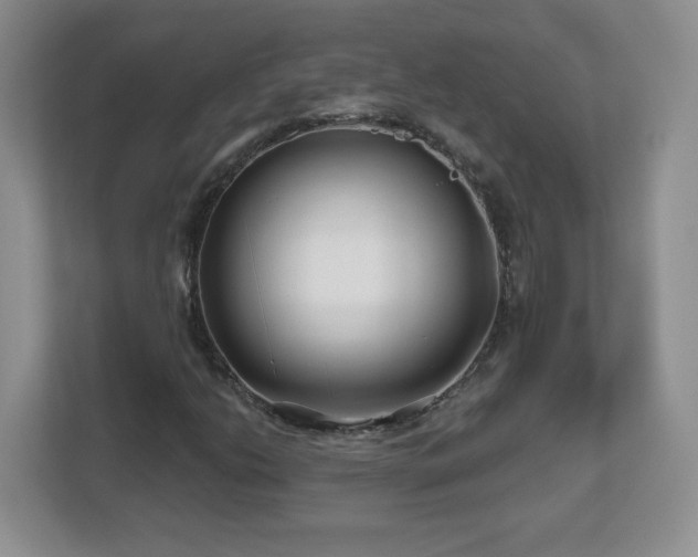 X0000112801206200908211126