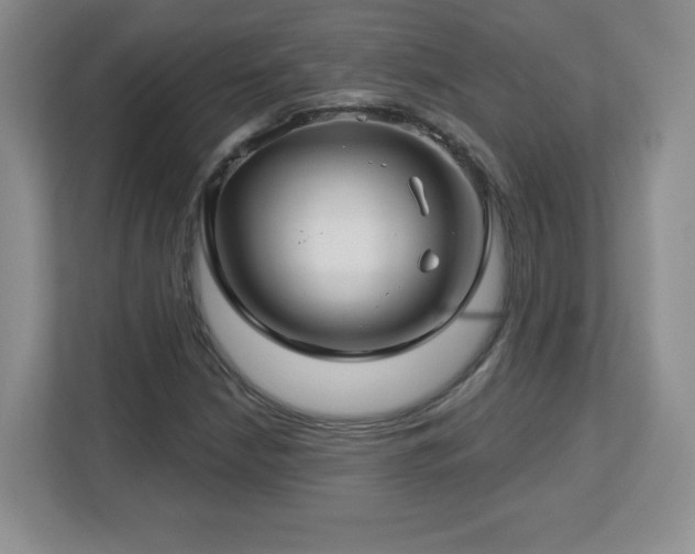 X0000112801210200908211126
