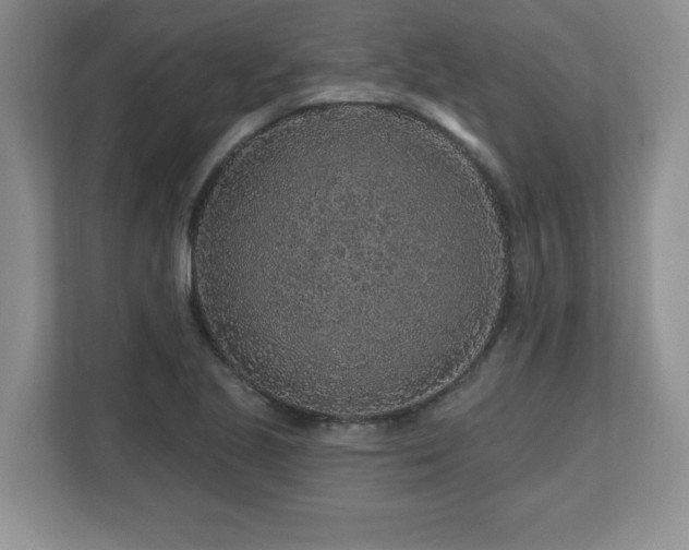 X0000112801221200908211127