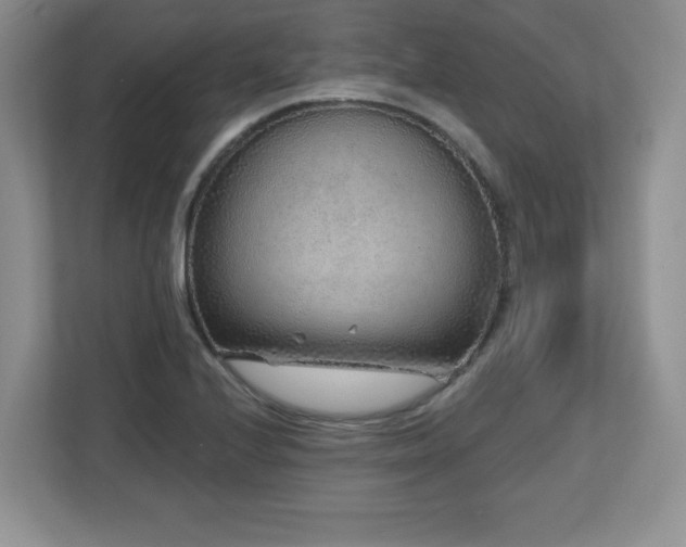X0000112801224200908211127