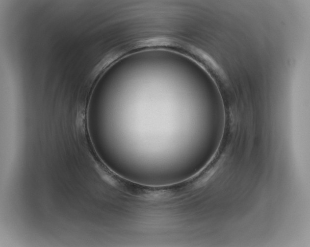 X0000112801225200908211127