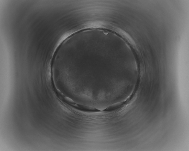 X0000112801226200908211127