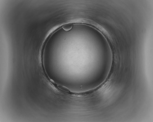 X0000112801230200908211127