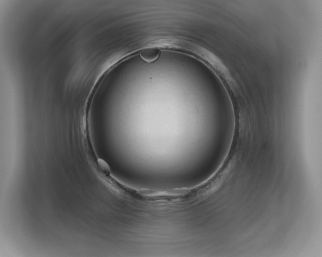 X0000112801234200908211127