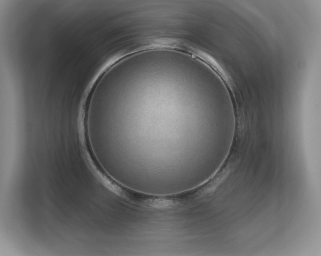 X0000112801235200908211127