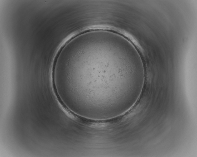 X0000112801237200908211127